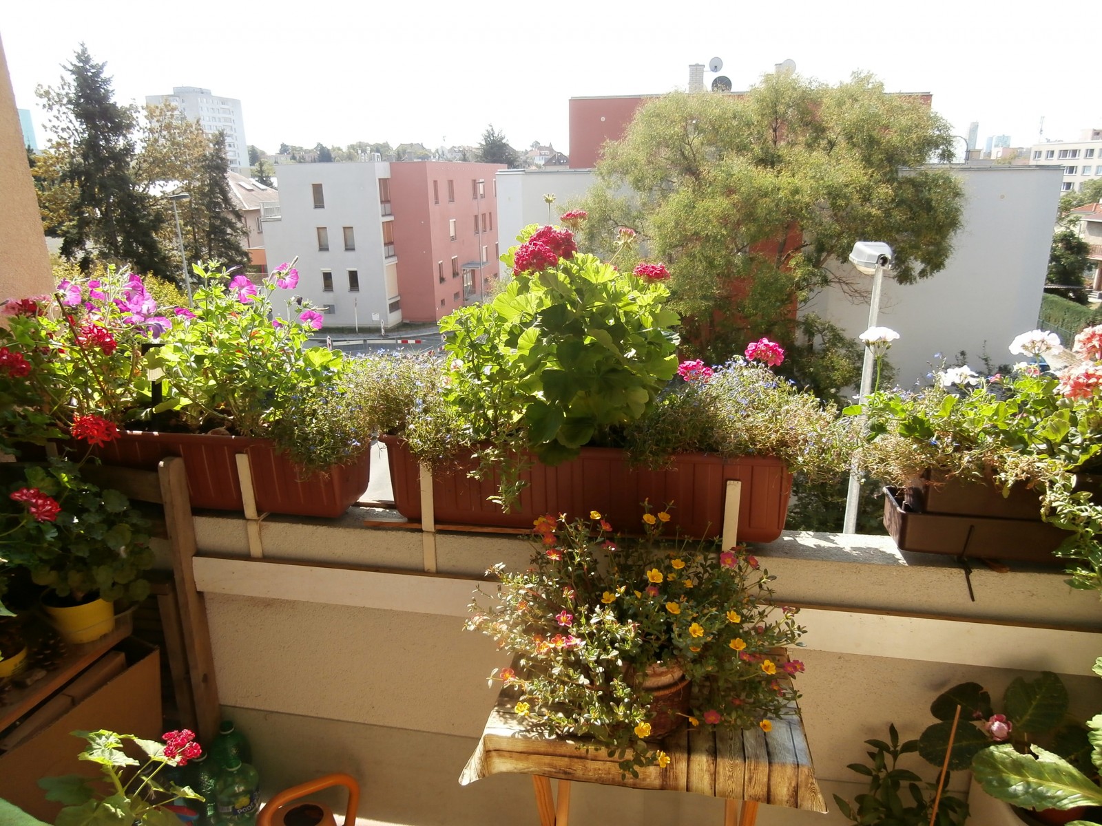 Prodej bytu 2+1/L, DV, 53,80m2, Flájská, Praha 10 - Strašnice