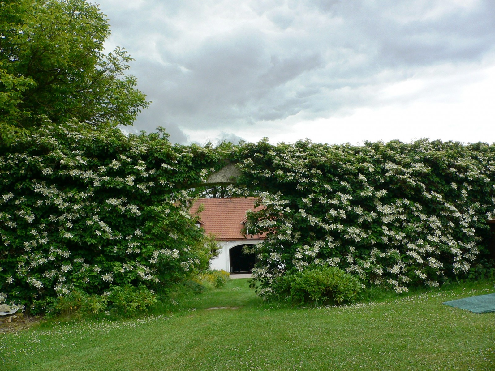 Zemědělská usedlost, 1740m2, Marčovice, Strakonice -