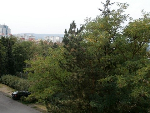 Prodej bytu 3+1/L, OV, 75m2, Kutilova, Praha 4 - Modřany