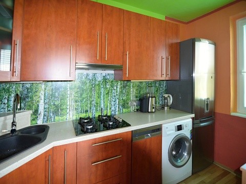 Prodej bytu 3+1/L, DV, 65m2, Hasova, Praha 4 - Modřany