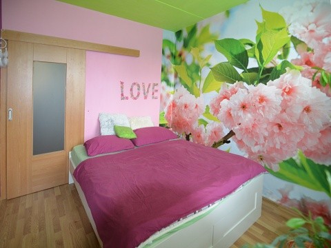 Prodej bytu 3+1/L, DV, 65m2, Hasova, Praha 4 - Modřany