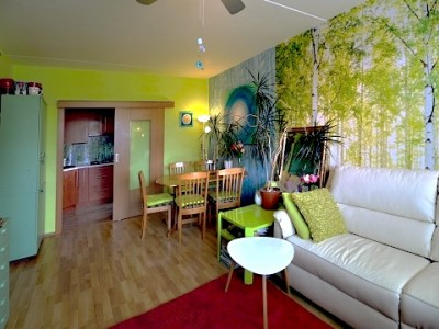 Prodej bytu 3+1/L, DV, 65m2