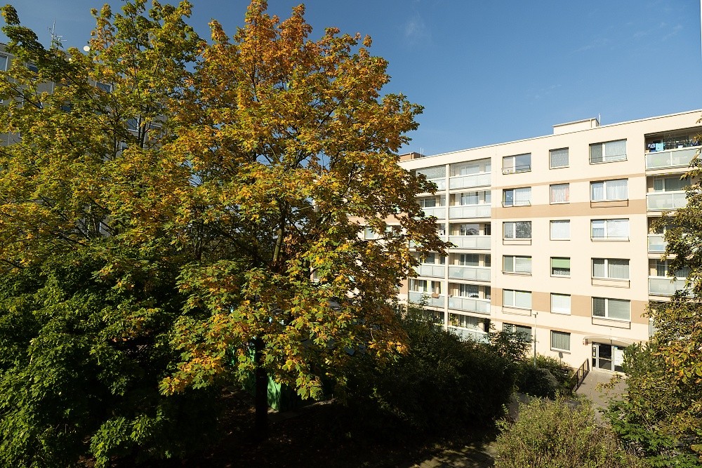 Pronájem garsoniery, OV , 29m2, Semická, Praha 12 - Modřany