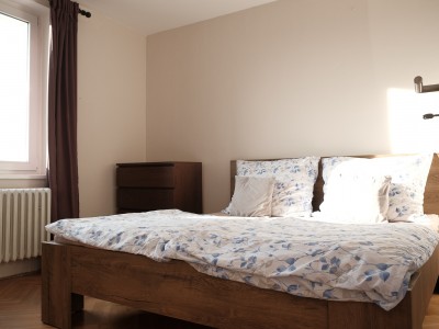 Pronájem bytu 3+kk/L, OV , 66m2