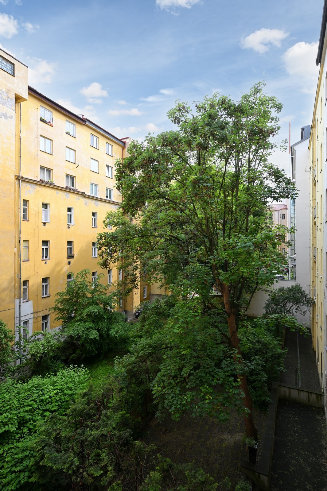 Pronájem bytu 3+1/B, OV, Vinohrady, Lucemburská, Praha 2 - Vinohrady